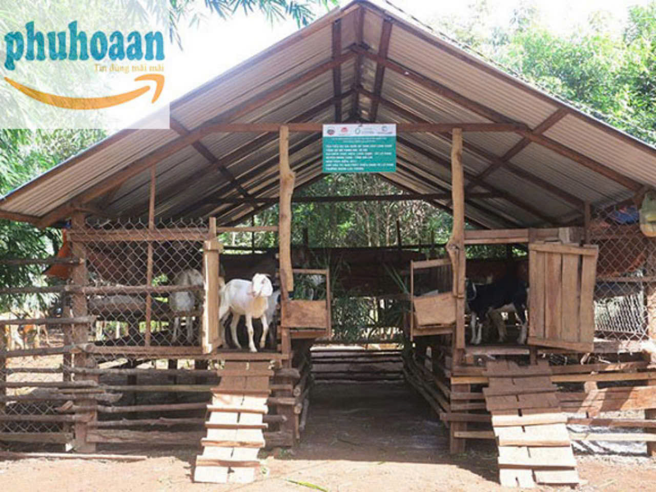 Farmstay Nông Trại Organic