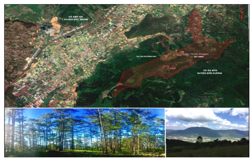 Bản Đồ Vệ Tinh 257,32 Ha